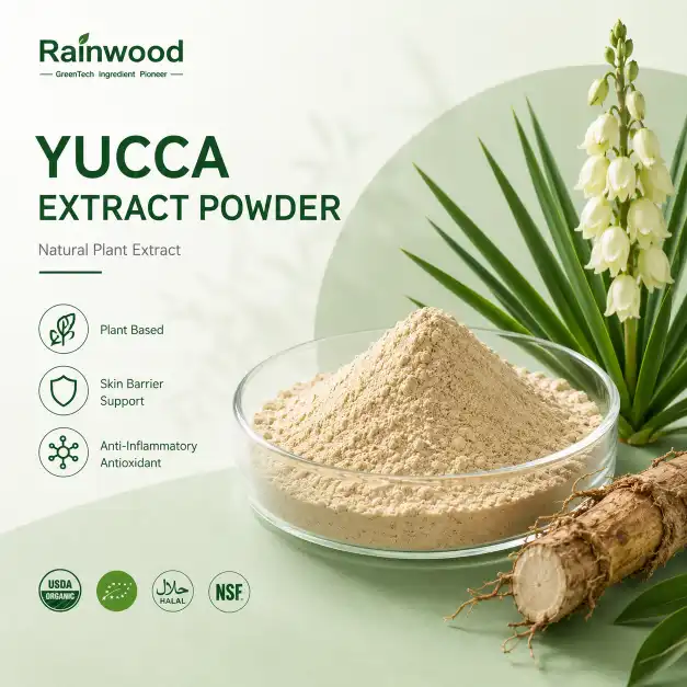 Yucca Extract: Harnessing Nature's Gift for Sensitive Skin